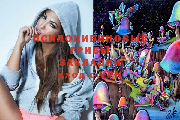 скорость Арсеньев