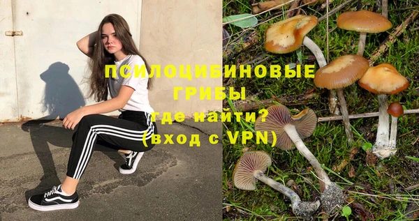 скорость Аркадак