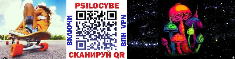 Галлюциногенные грибы Psilocybe Венёв