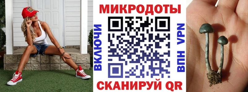 Псилоцибиновые грибы мицелий  сколько стоит  Венёв 